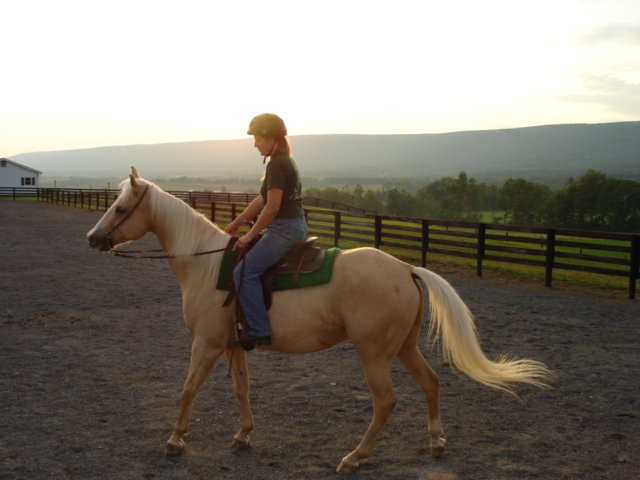 Laurel Ridge Farms Boarding Stables, Full Care Horse Boarding Facility